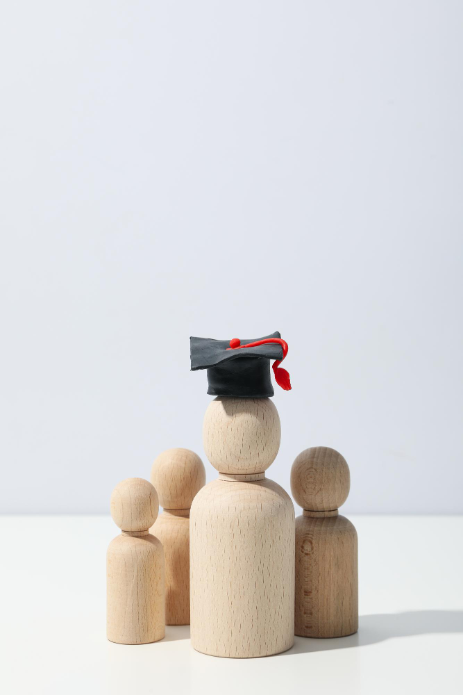 Higher Education strategy optimisation